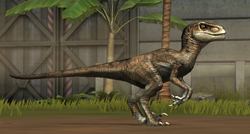 Velociraptor 1-10.png