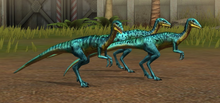 Compsognathus Lvl 21-30.png