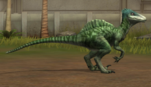 Spinoraptor lvl 20.png