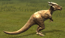 Dracorex lvl 10.png