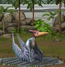 Pteranodon 20.jpeg
