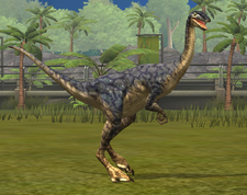Gallimimus 11-20.png
