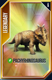 Pachyrhinosaurus Card.png