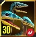 Compsognathus Lvl 30 Icon