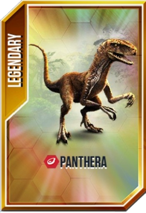 Panthera Card.png