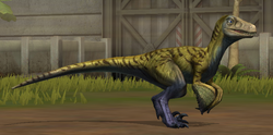 Pyroraptor 11-20.png