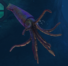 Tusoteuthis lvl 30.png