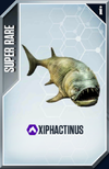Xiphactinus Card.png