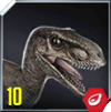 Velociraptor Icon 10.png