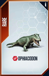 Ophiacodon Card.png