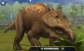 feeding a Pachyrhinosaurus