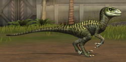 Velociraptor 11-20.png