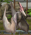 Level 1-10 Pteranodon