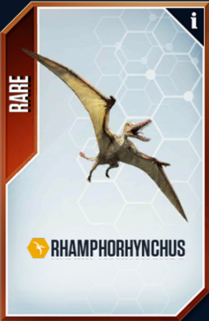 Rhamphorhynchus Card.png