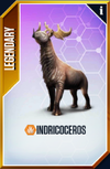 Indricoceros Card.png