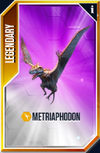 Metriaphodon Card.png