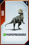 Pachycephalosaurus Card.png