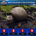 Glyptodon Trivia 2.png