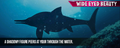 Ophthalmosaurus Teaser News.png