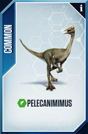 Pelecanimimus Card.png