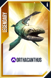 Orthacanthus Card.png