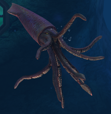 Tusoteuthis lvl 20.png