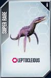 Leptocleidus Card.png