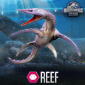 Reef aquatic poster