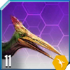 Pelecanipteryx Icon 11.png