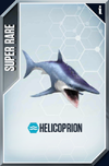 Helicoprion Card.png
