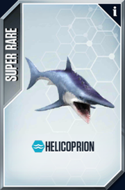 Helicoprion Card.png