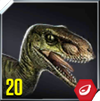 Velociraptor Icon 20.png