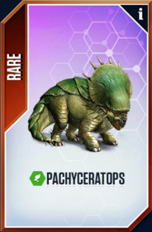 Pachyceratopscard.png