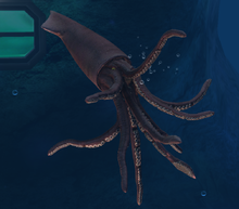 Tusoteuthis lvl 10.png