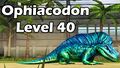 Level 40 Ophiacodon