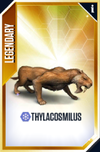 Thylacosmilus Card.png