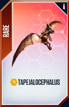 Tapejalocephalus Card.png