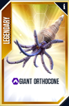 Giant Orthocone Card.png