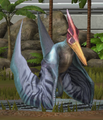 Level 11-20 Pteranodon