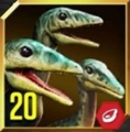 Compsognathus Lvl 20 Icon