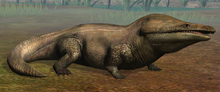 Metoposaurus lvl 10.png