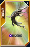 Suchodus Card.png