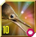 Ophthalmosaurus Lvl 1-10 Portrait.png