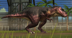 Giganotosaurus 21-30.png