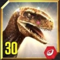 Lvl 30 Panthera Icon