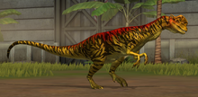 Level 21-30 Dilophosaurus