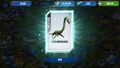 Elasmosaurus in a card pack.jpg