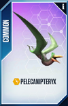 Pelecanipteryx Card.png