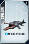 Metriorhynchus Card.png