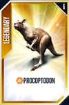 Procoptodon Card.png